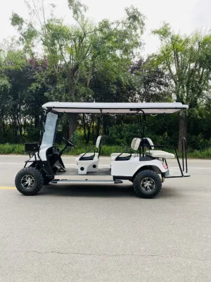 5000W Buggy/Golf Dachi Acero Marco 4330*1200*1900 Lithium Powered Golf Cart