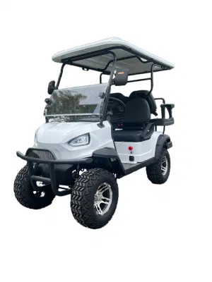 Carro de buggy de golf eléctrico Custom 2 Seat Mini On Road Con panel de control de pantalla grande