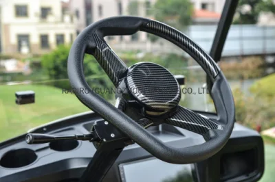 China Luxury 2 plazas Electric Power Club coches Golf Carts Para la venta