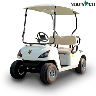 Mayorista Nuevo dos personas 42V/72V pequeño Mini 4 Carro de rueda Carro de Golf de coches eléctricos vehículo eléctrico con 2 asientos viento Precio bajo de venta de Shield (DG-C2-5)