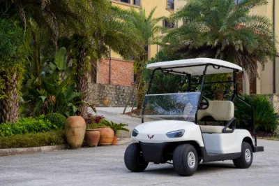 2 Asiento / 4 Asiento Carrito de Golf Inteligente Eléctrico Legal para la Calle Vehículos Garantía Completa
