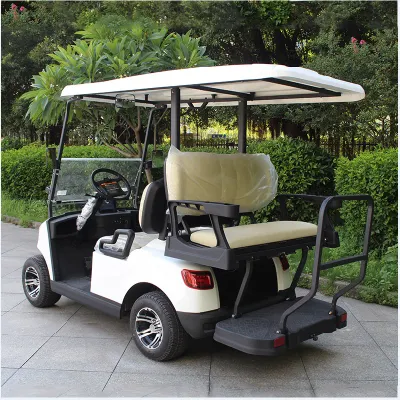 Acero pequeño coche eléctrico contenedor de concha de coche CE Cart Scooter de golf