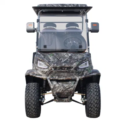 Nueva llegada Luxury Seat Club Cart Electric Elevó Golf Buggy Carro de caza