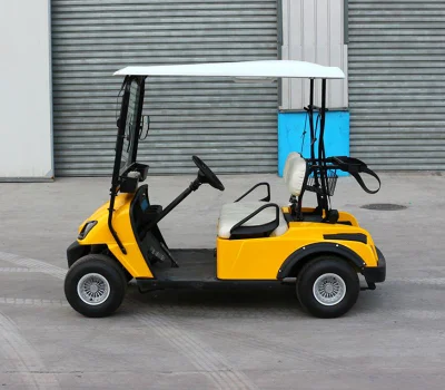 Carrito de Golf clásico de calidad superior con 2 asientos