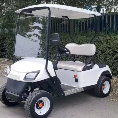 Evolution 48V 5seat 6seat Cartevolution 48V 5seat 6seat Carrito eléctrico de Golf