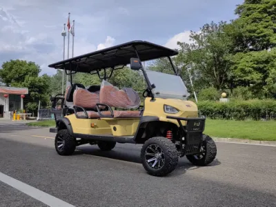 6 plazas Golf Car 6 persona Golf Cart para turistas 4 chasis de acero eléctrico de ruedas con carga
