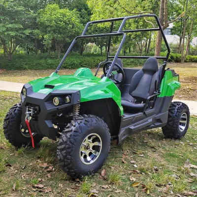 OFF Road Electric UTV todo terreno vehículo Buggy Racing UTV Venta de vehículos utilitarios