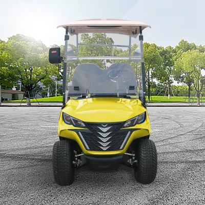 Super calidad Golf Buggy G2 plazas Forge 2 Electric Golf Carro