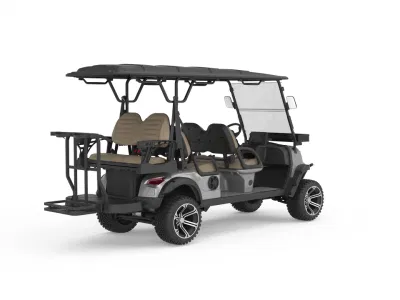 Nuevo molde eléctrico Golf Cart 4 frenos de disco Nuevo 6 Carrito de Golf con Gag de Golf