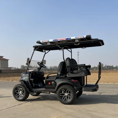 Baterías de litio de energía solar de 4 6 8 10 plazas personalizadas Carrito de Golf eléctrico plegable