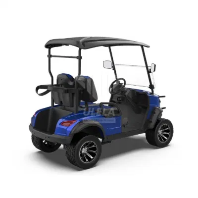 Ulela Advanced EV Golf Cart Dealers Electric Rear Drive cerrado Golf Buggy Electric China 2 asientos E Car Golf Cart
