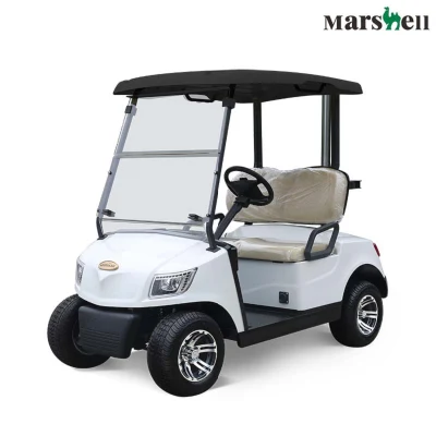 Calle Legal Cart coches antiguos Golf eléctrico Buggy Deportes coche