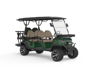 Nuevo molde eléctrico Golf Cart 4 frenos de disco Nuevo 6 Carrito de Golf con Gag de Golf