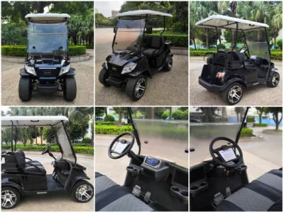 2-8 Nuevo coche de golf eléctrico 2023 asientos coche de golf eléctrico Muchos Corlours