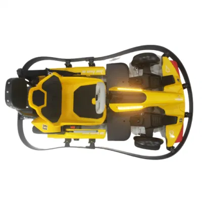 K9s Factory Racing Motor personalizado para adultos/ niños Racing Electric Kart Coches para niños jóvenes adultos Go Kart