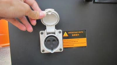 2 plazas off road vehículo utilitario eléctrico