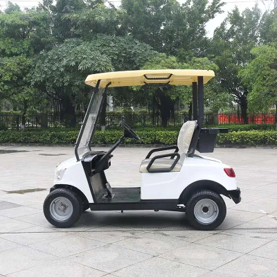 Guangdong Marshell coche de golf personal eléctrico con certificado de golf CE Carro (DG-M2)