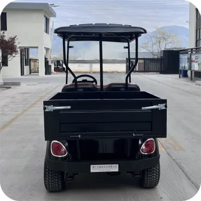 2 asientos Utility Golf Carts Street Legal Golf Electric Cart Con cama cargo
