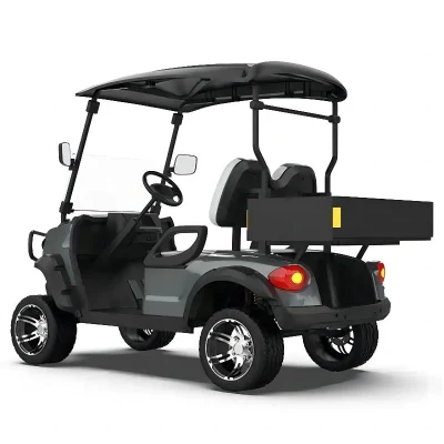 High Power off-Road Golf Cart Calle Legal 2 pasajeros eléctricos Carrito de Golf