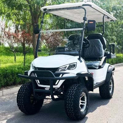 Cool Advanced EV cuatro asientos 4 Wheel Road Legal LSV Venta de carros de golf eléctricos