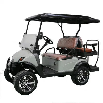 Carrito de Golf de 4 asientos con batería de litio y medidor de velocidad Y Radio