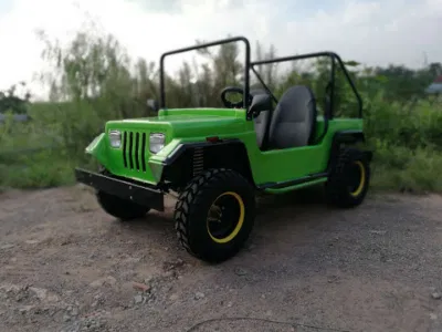 Diseño de flujo de potencia de la gasolina Mini Golf Buggy 200cc para adultos