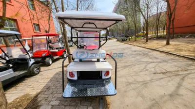 Personalizado de alto rendimiento asiento eléctrico de 4 carros de golf Golf Club de Buggy eléctrico coche carro de golf Golf Kart para la venta