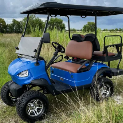 Comercio al por mayor de ancianos Custom Scooter eléctrico de baja velocidad 4 asientos para 6 carros de golf