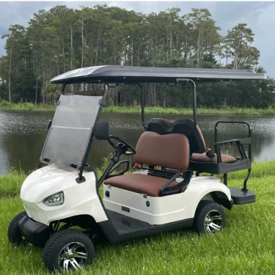Comercio al por mayor de ancianos Custom Scooter eléctrico de baja velocidad 4 asientos para 6 carros de golf