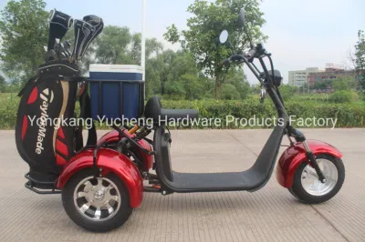 OEM hecho personalizado eléctrico carrito de golf Scooter Mini carrito de golf