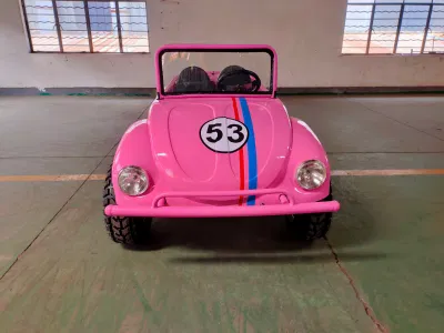 Un cilindro de 150cc automático ATV padre hijo coche Escarabajo Mini de gasolina para niños Venta caliente