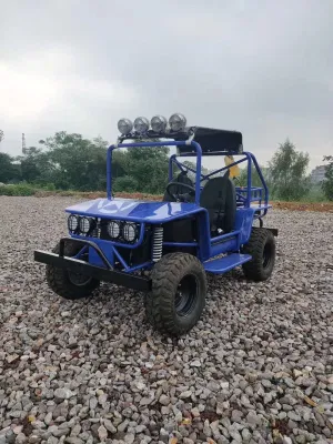 Suyang 150cc Mini Buggy Willys/Rover UTV ATV de nuevo diseño de Venta caliente