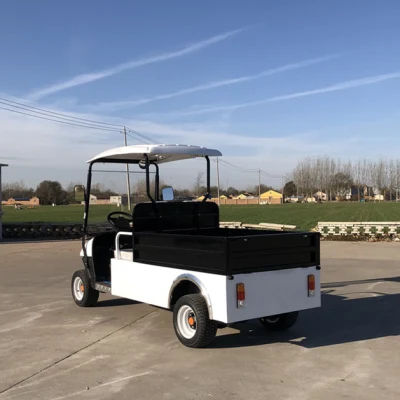Batería de Golf de carga de litio Golf Cart buggy con remolque Caja