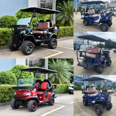 Electric Go Kart IP66 Standard Waterproof Golf Cart Precio mayorista