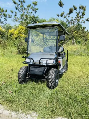 Club Car levantado 48V 72V 6 asientos Electric Golf Cart 4 plazas de la calle Legal