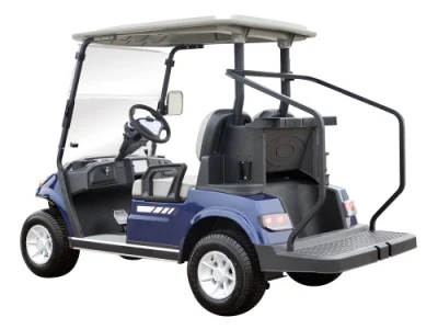 Lvtong nuevo modelo de carros de golf de 2 plazas con grandes espacios portaobjetos una827.2