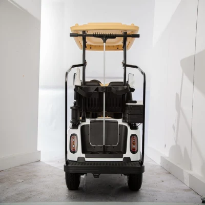 Carrito eléctrico de Golf para 2 pasajeros