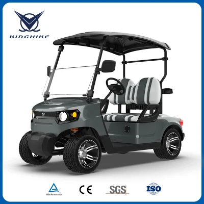 Del 30% puede ser Cutomized BUGGY ELÉCTRICO Legal de la calle Los coches de golf