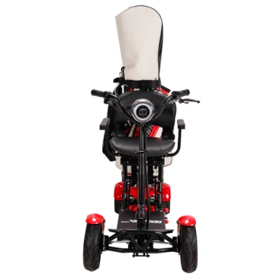 Scooter de movilidad eléctrica de alta calidad con neumático gordo personal para personas mayores de 4 ruedas y batería de litio tipo carrito de golf.