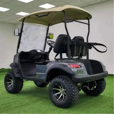 Eléctricos usados la venta de plazas para el gas barato 4 de 4X4 Powered hizo China electrónico Diesel de 6 Pasajeros Orlando, Florida 2 carros de golf