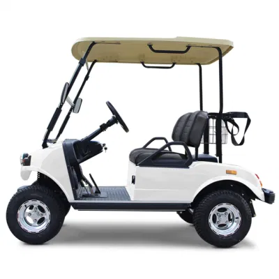 Venta de fábrica de carritos de golf eléctricos de 2 plazas para la venta. Buggy de golf con motor de corriente alterna.