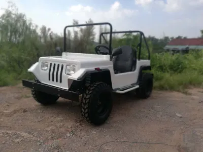 125cc gasolina Mini Jeep Cool carro de golf off road Alquiler de Quad ATV