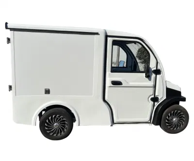 C20 camioneta de vehículos eléctricos camión eléctrico Mini eléctrico Camión para la entrega de carga urbana