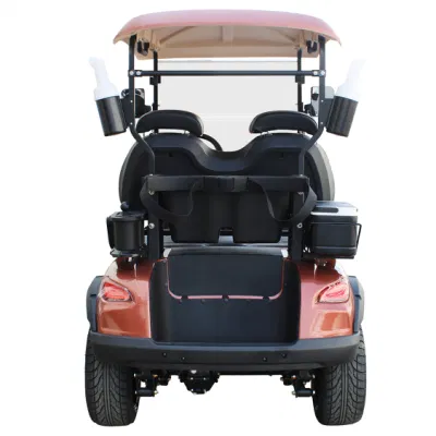 Nuevo Arriveal estilo D para socio exclusivo Nuevo diseño Wh2022K Fábrica 2 asientos de autobús turístico carrito eléctrico Golf Buggy Coche de caza