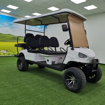 2023 60V 5000W 2 pasajeros UTV Golf Cart con grande Compartimentos de almacenamiento