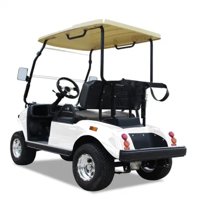 Venta de fábrica de carritos de golf eléctricos de 2 plazas para la venta. Buggy de golf con motor de corriente alterna.