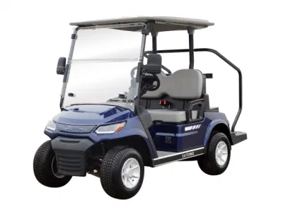 Lvtong nuevo modelo de carros de golf de 2 plazas con grandes espacios portaobjetos una827.2