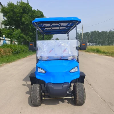 Batería de litio mejor vendedor Golf Buggy 2+2+2 Seater Forge Golf Carro