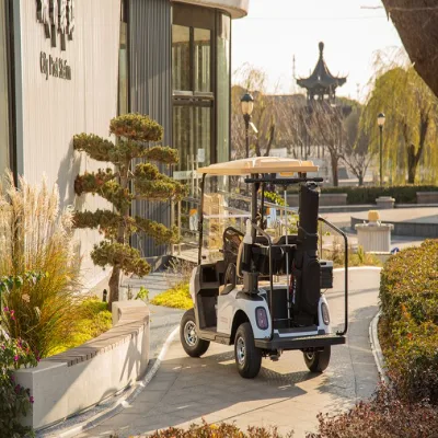 Carrito eléctrico de Golf para 2 pasajeros