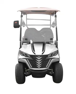Mayorista de Garantía de calidad de Alto rendimiento personalizado Golf Buggy Electric 4 Asientos Forge 2+G2 Carro de Golf